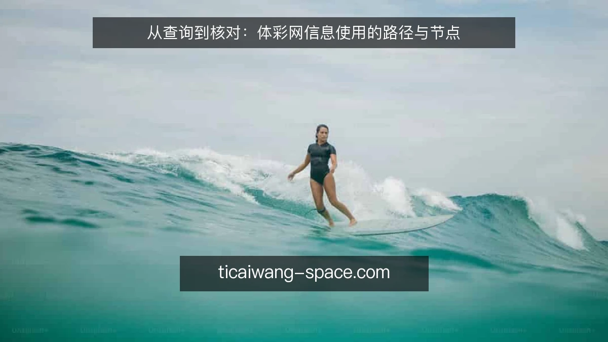 从查询到核对：体彩网信息使用的路径与节点