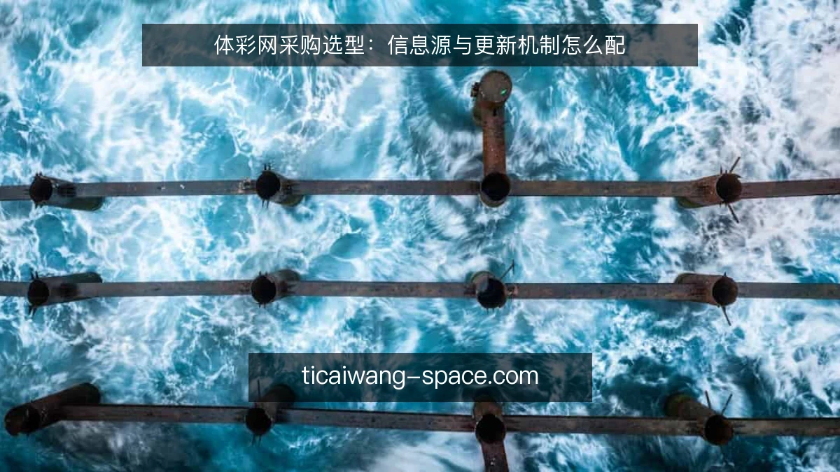 体彩网采购选型：信息源与更新机制怎么配