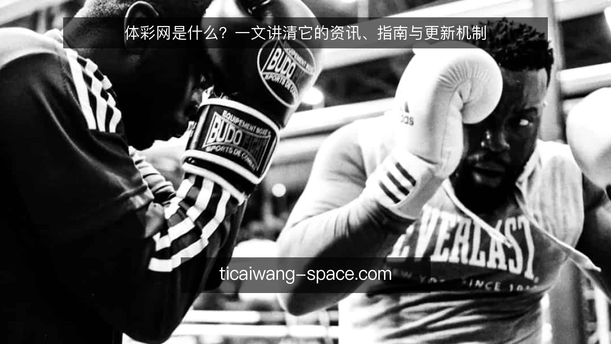 体彩网是什么？一文讲清它的资讯、指南与更新机制